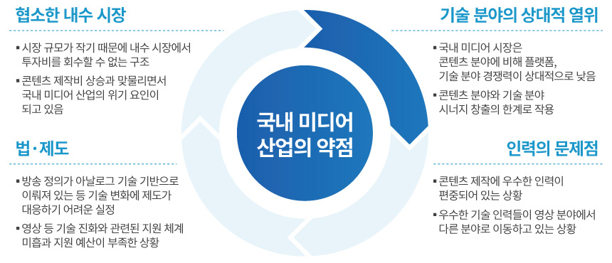 국내 미디어 산업의 약점으로 협소한 내수 시장, 기술 분야의 상대적 열위, 법·제도, 인력의 문제점이 있다.