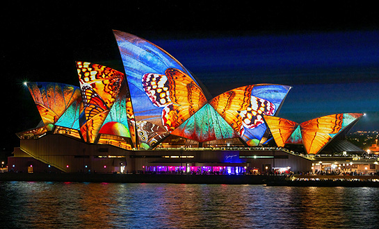 Vivid Sydney 이미지