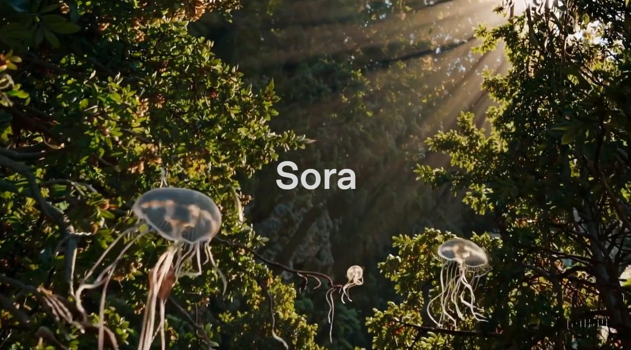 Sora