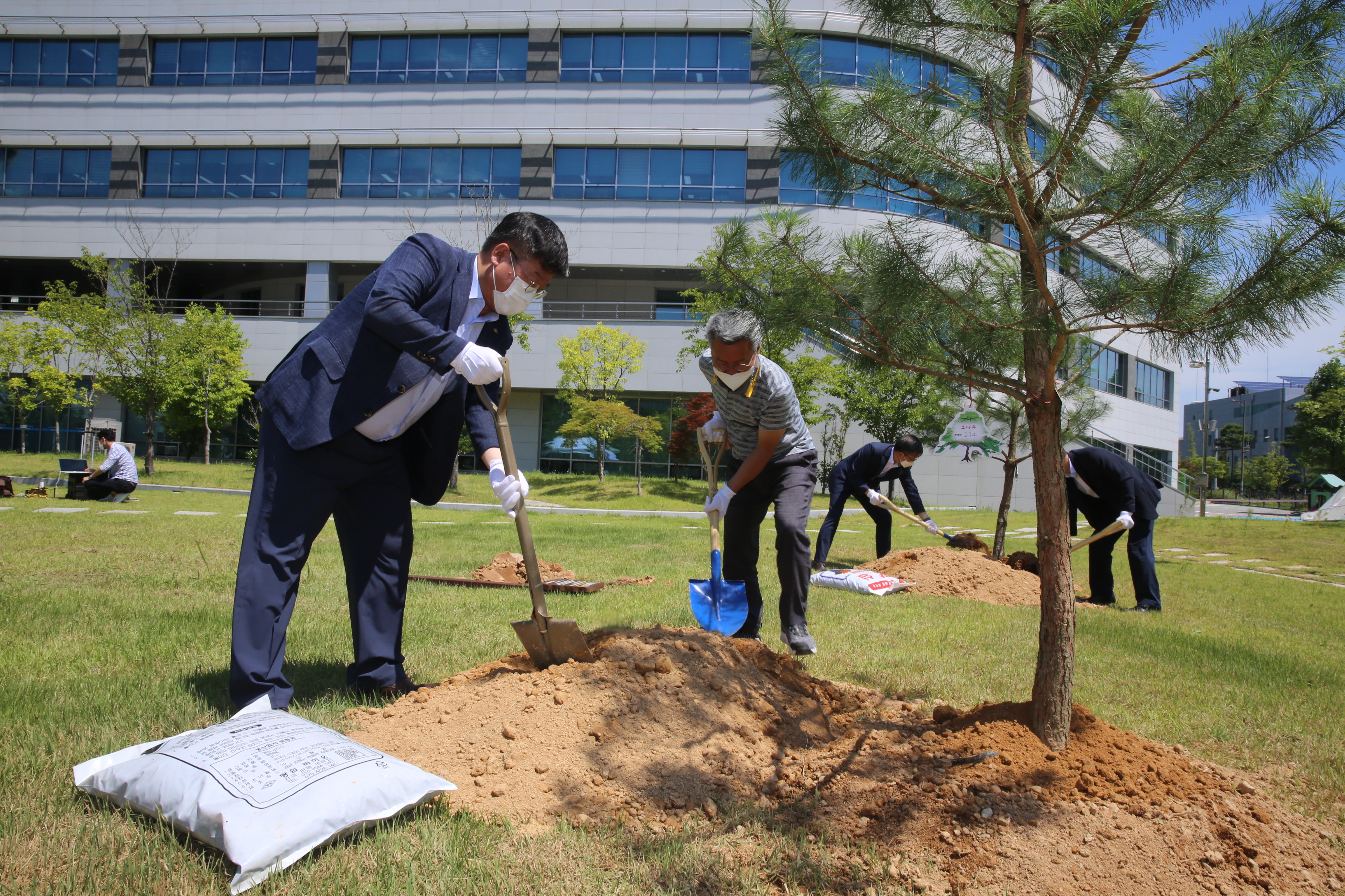 [사진=한국방송통신전파진흥원] KCA는 충북 보은군청에서 기증받은 천연기념물 정이품송 식수행사를 진행하고 있다.