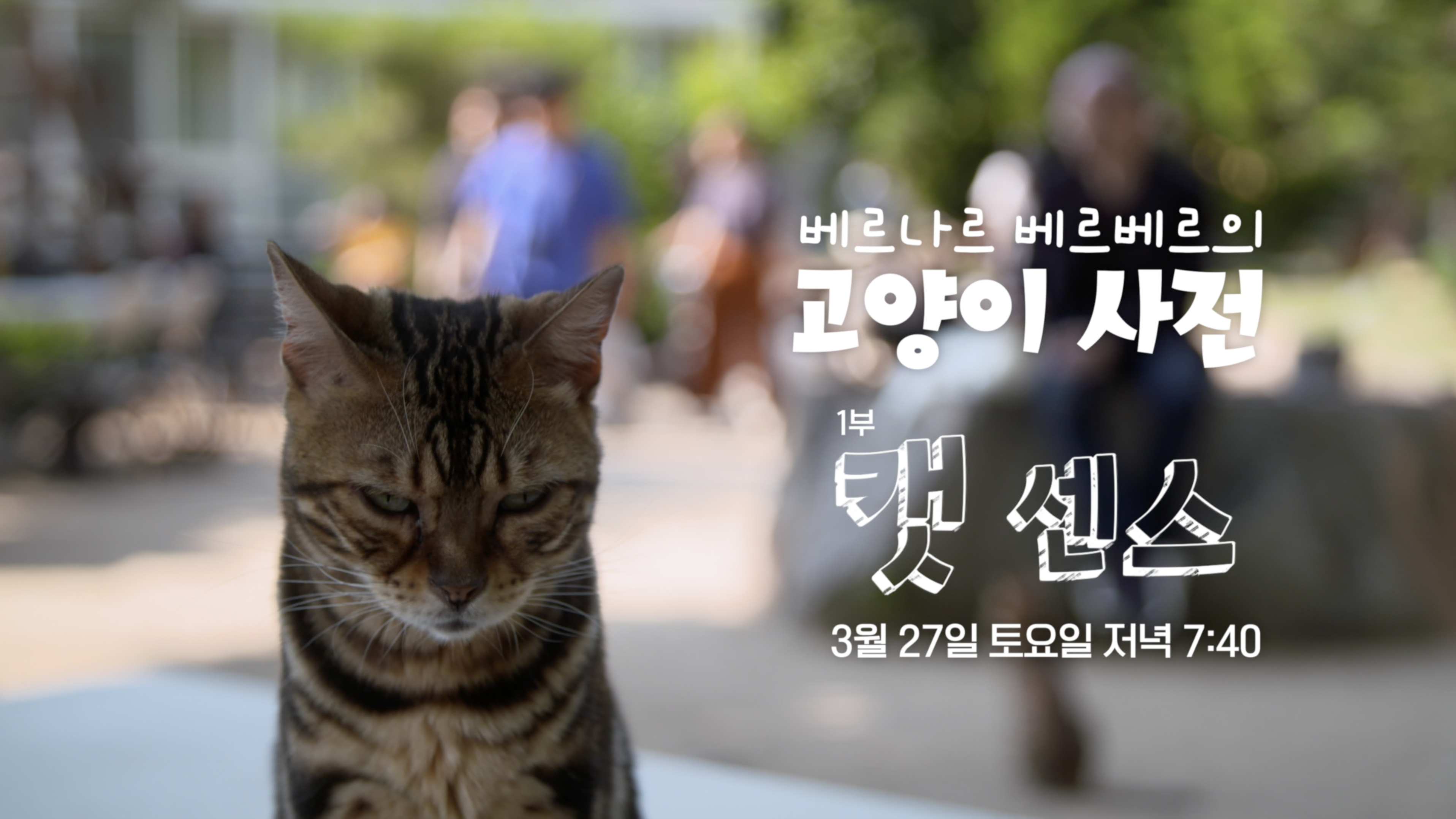 전파진흥원 제작지원작 ‘베르나르 베르베르의 고양이 사전’ 방영